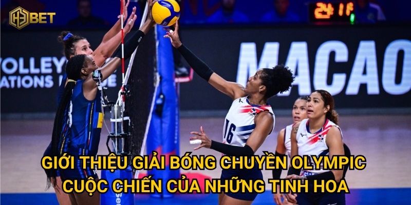 Giới thiệu giải bóng chuyền Olympic – Cuộc chiến của những tinh hoa