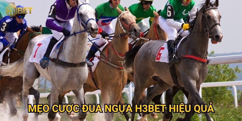 Mẹo cược Đua ngựa H3bet hiệu quả